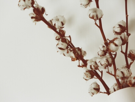 coton